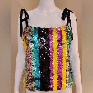 Zara Multicolor Sequin Striped Tank Top